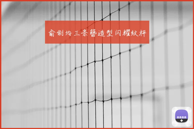俞俐均三条簪造型闪耀纹枰