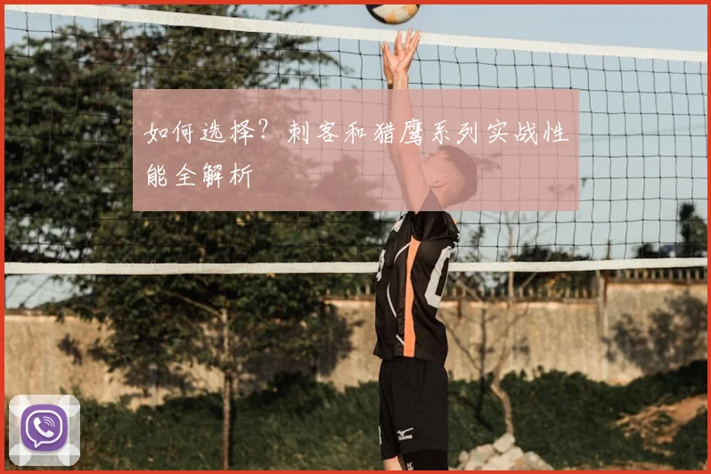 如何选择?刺客和猎鹰系列实战性能全解析