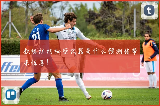 教练组的秘密武器是什么预测将带来惊喜！