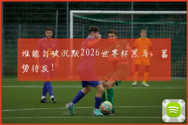 谁能打破沉默2026世界杯黑马，蓄势待发！