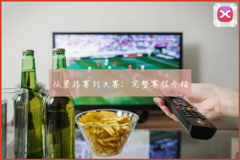 从资格赛到决赛：完整赛程介绍