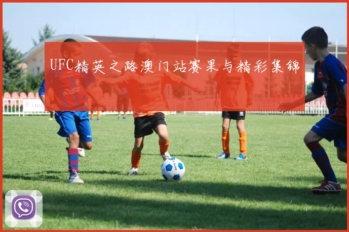 UFC精英之路澳门站赛果与精彩集锦