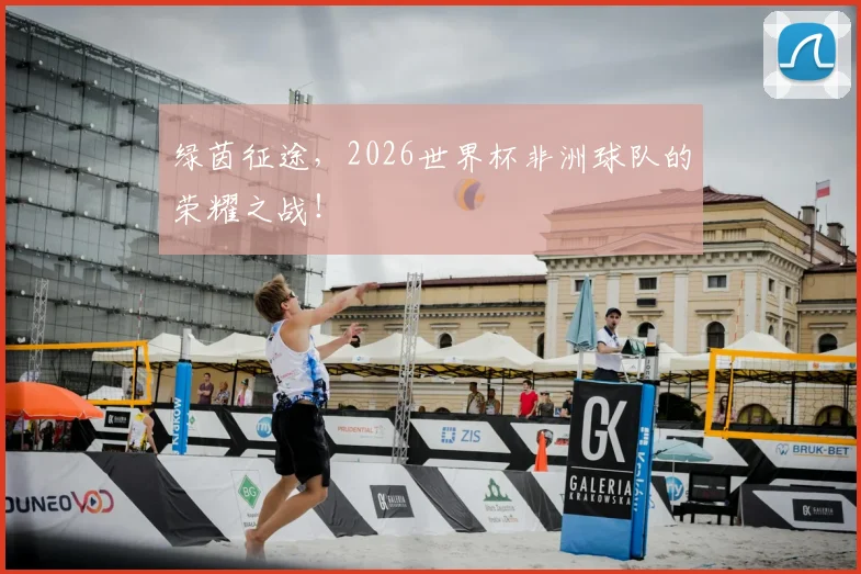 绿茵征途,2026世界杯非洲球队的荣耀之战!