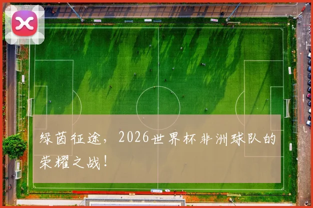 绿茵征途，2026世界杯非洲球队的荣耀之战！