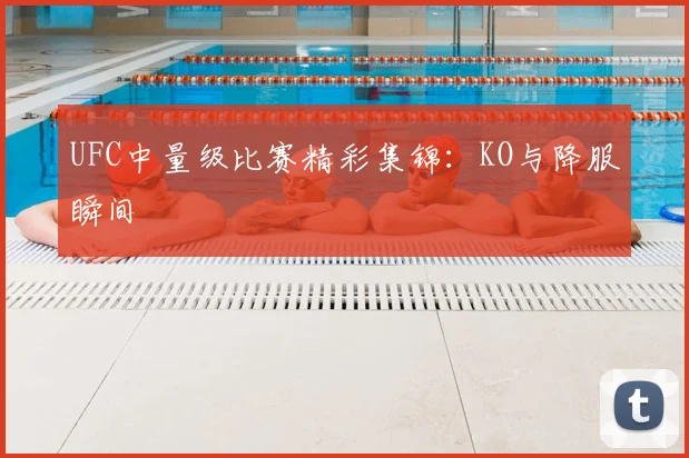 UFC中量级比赛精彩集锦:KO与降服瞬间